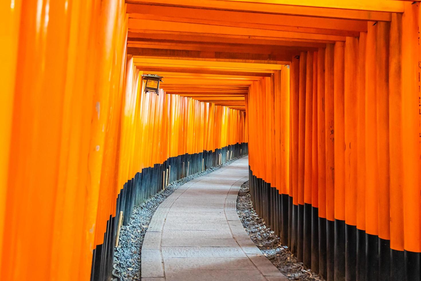 torii-grindar vid helgedomen fushimi inari i kyoto, japan foto