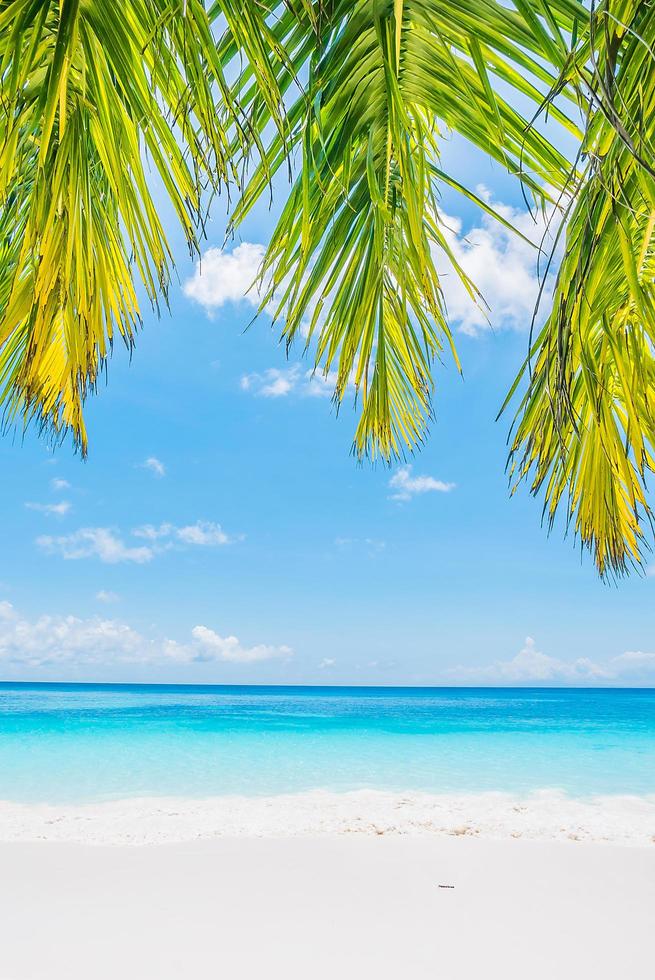 vacker tropisk strand med palmblad foto