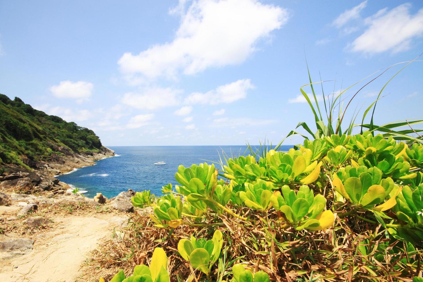 skön paradis i sommar av marinmålning och hav horisont med Yacht båt i lugna hav och blå himmel på sten berg cape.tropical strand växter och djungel ö foto