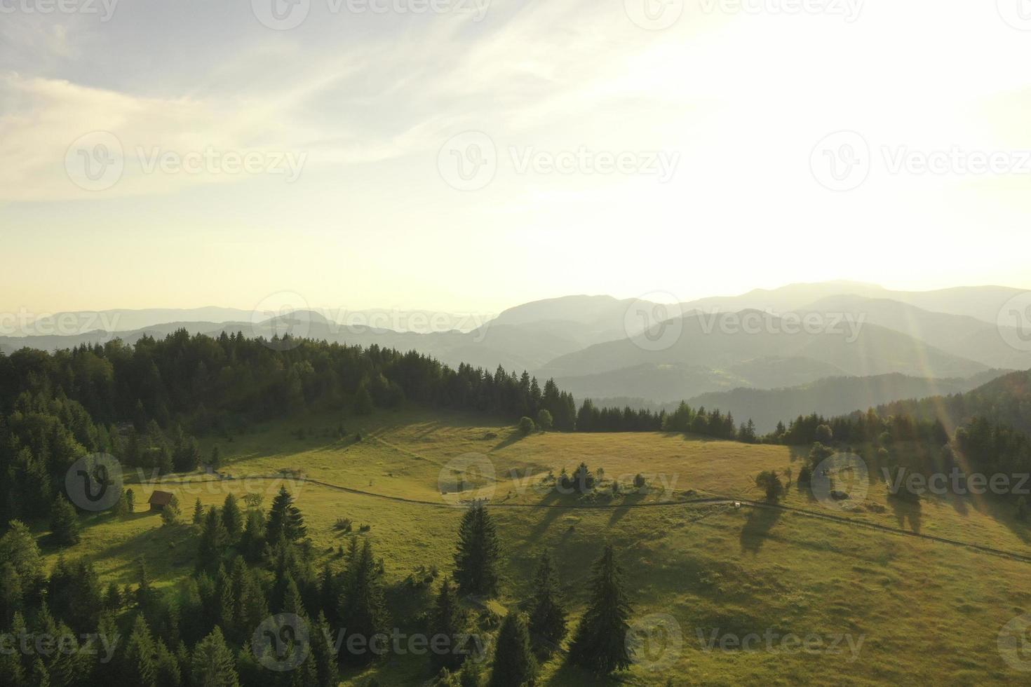 Flygfoto på bergskogen en sommardag foto