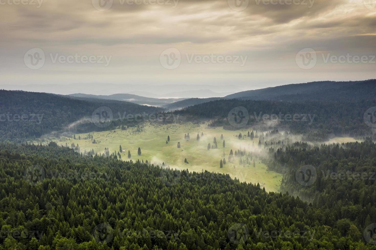 Flygfoto på bergskogen en sommardag foto