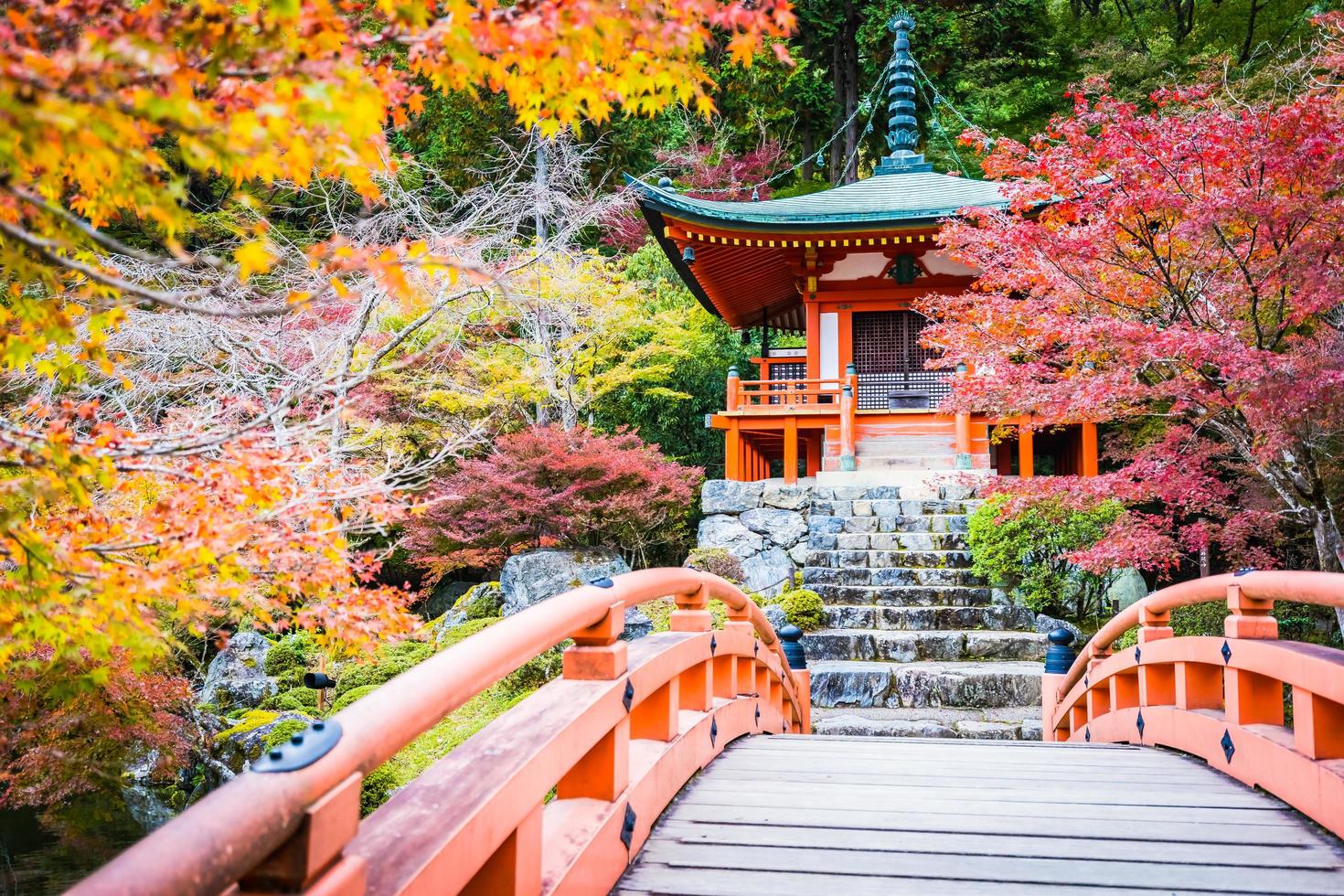 vackert daigoji-tempel med färgglatt träd och blad under höstsäsongen foto