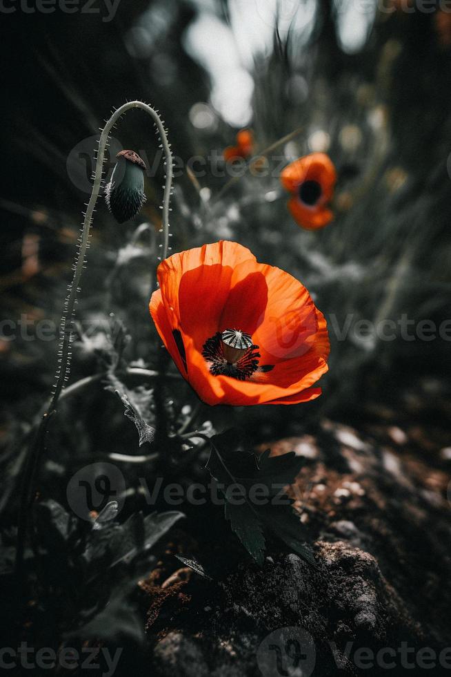 polly blomma i de vild fängslande fotografi av en skön och sällsynt blomma foto