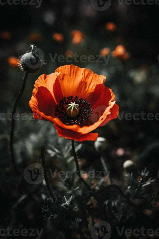 polly blomma i de vild fängslande fotografi av en skön och sällsynt blomma foto