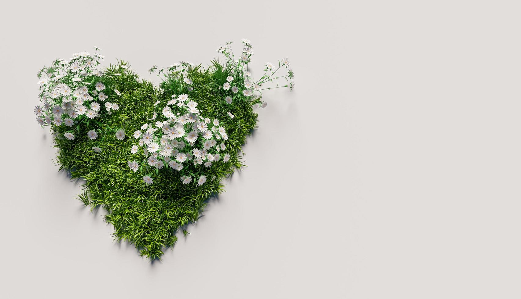 hjärta av gräs med vita blommor på vit bakgrund med copyspace, 3d framför foto