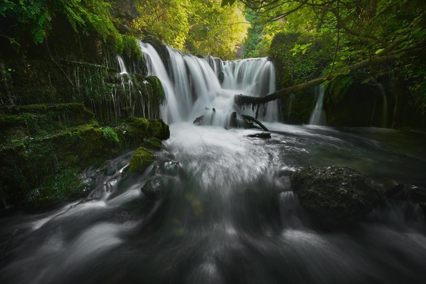 imponerande vattenfall av en flod i en grön skog foto