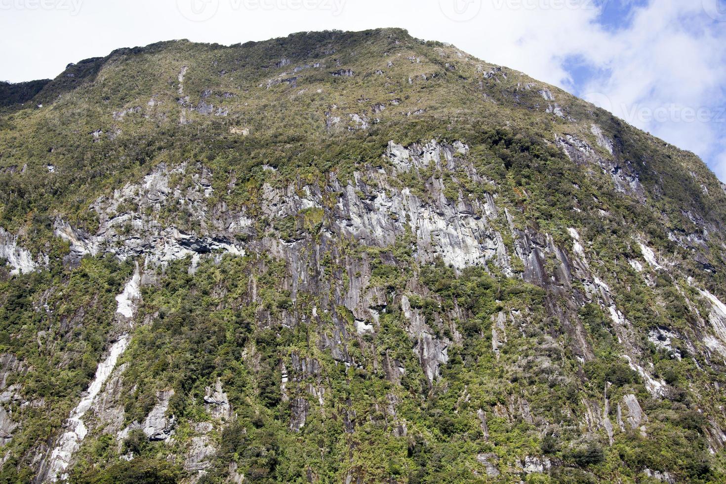 fjordland nationell parkera brant berg foto