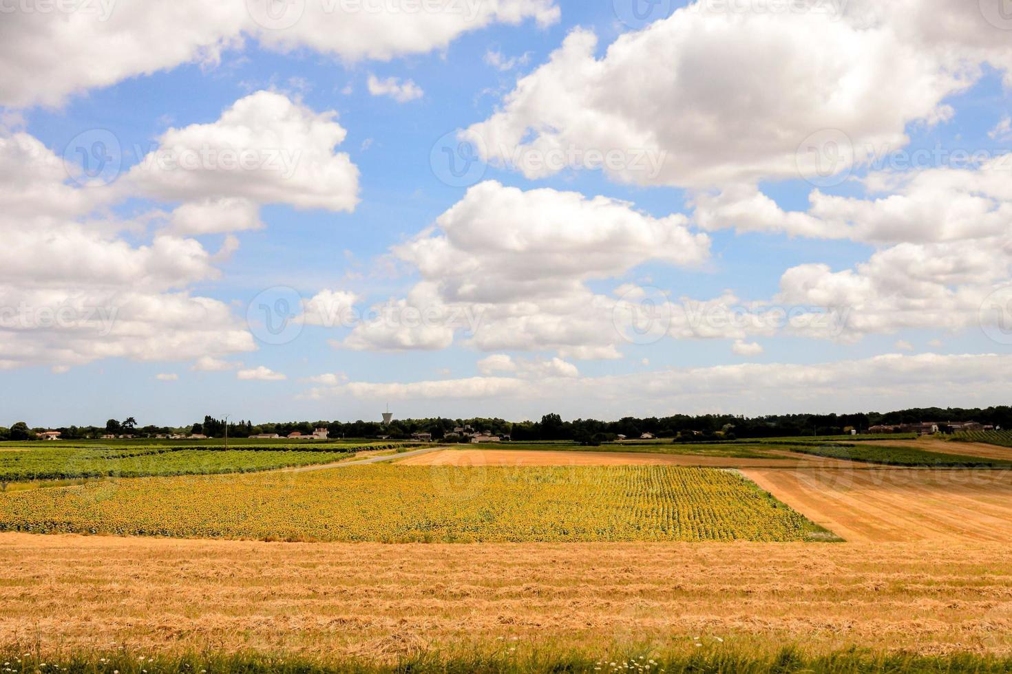 naturskön lantlig landskap foto