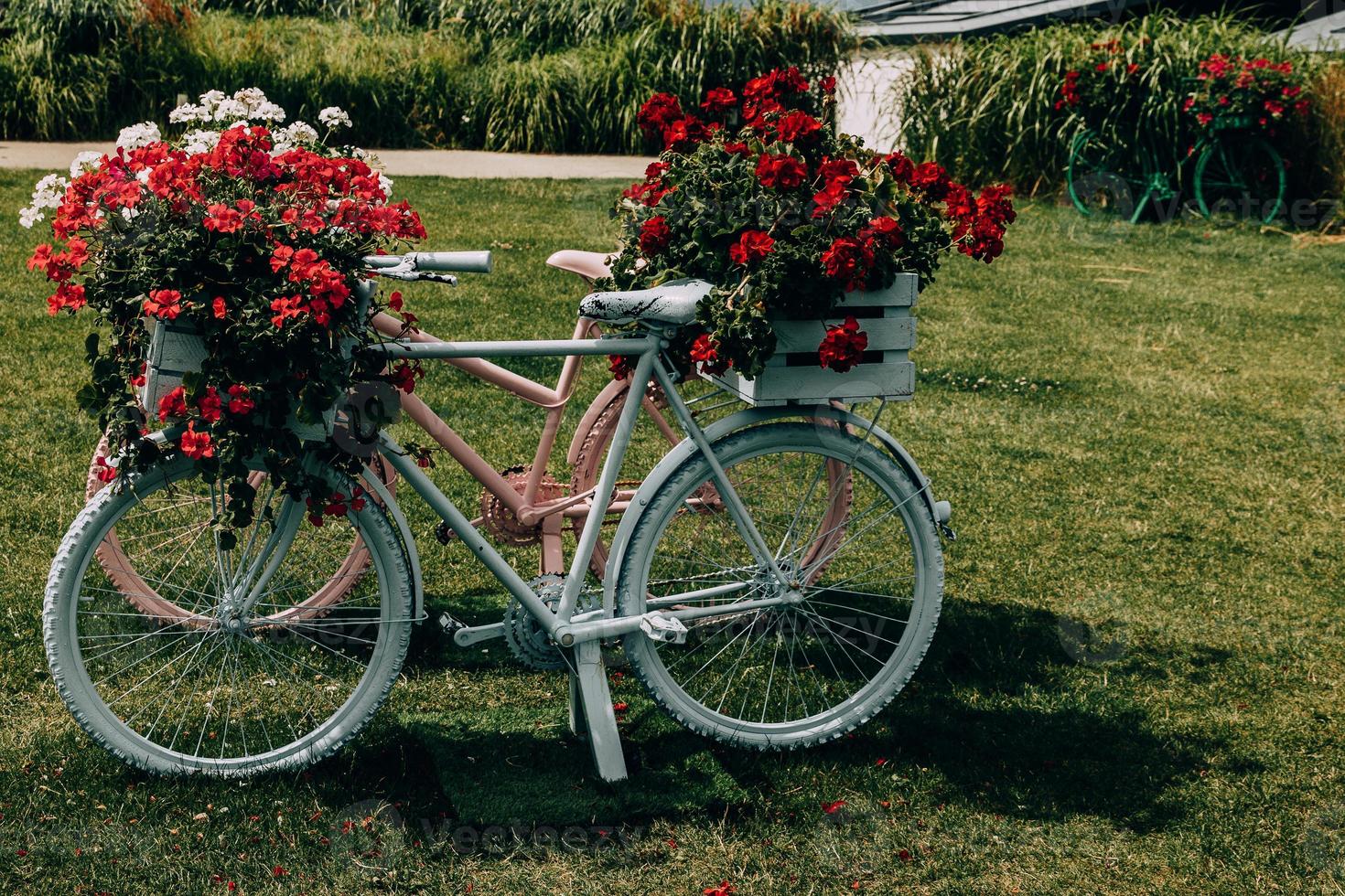 cykel dekorerad med röd pelargoner dekoration i de trädgård foto