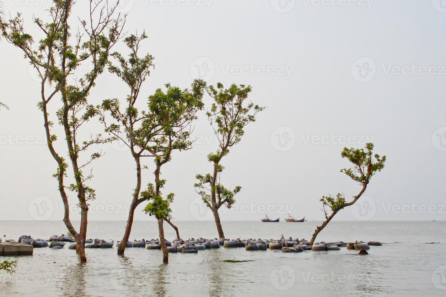 flod erosion scenario av kust bälte bukt av bengalen. foto