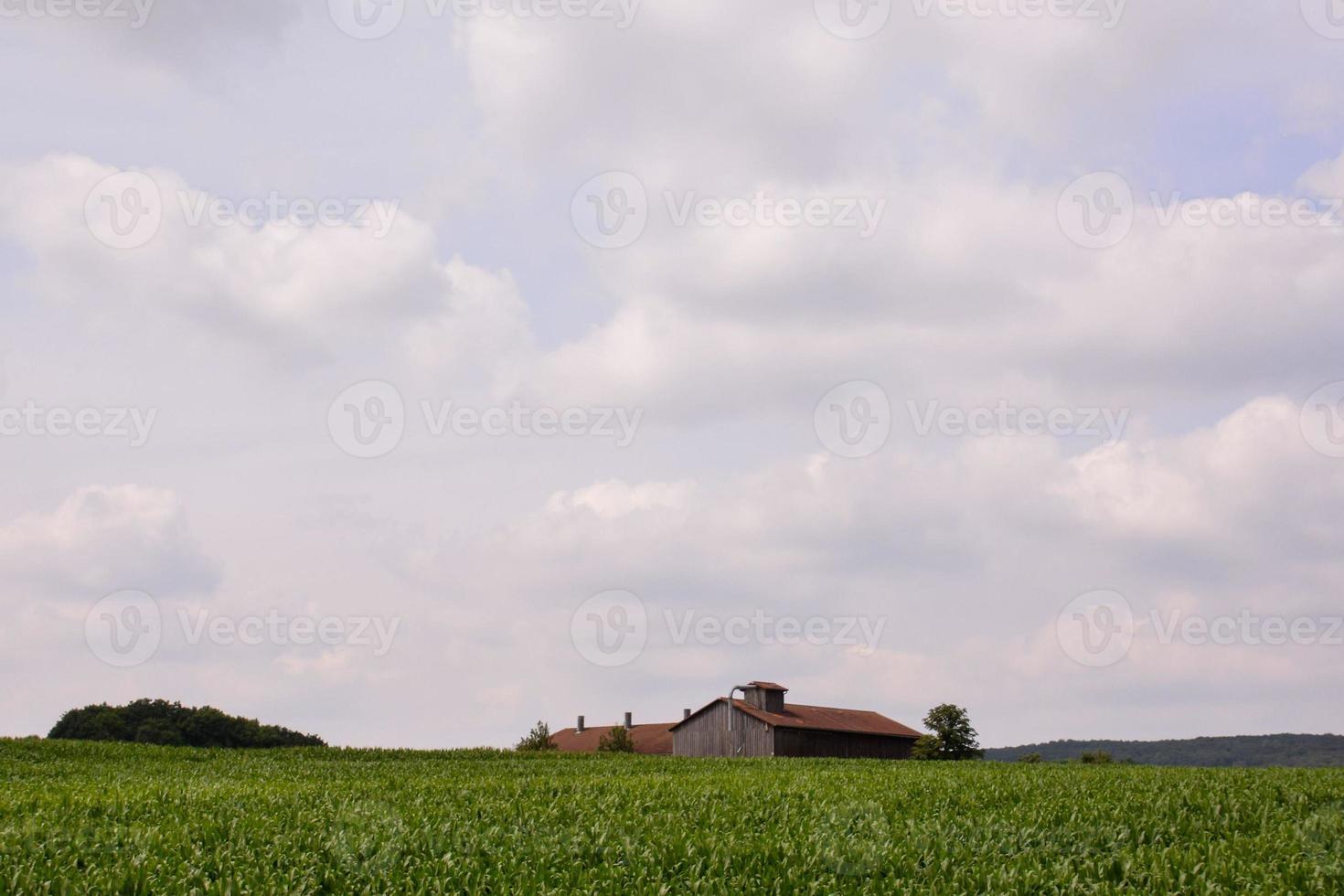 naturskön lantlig landskap foto