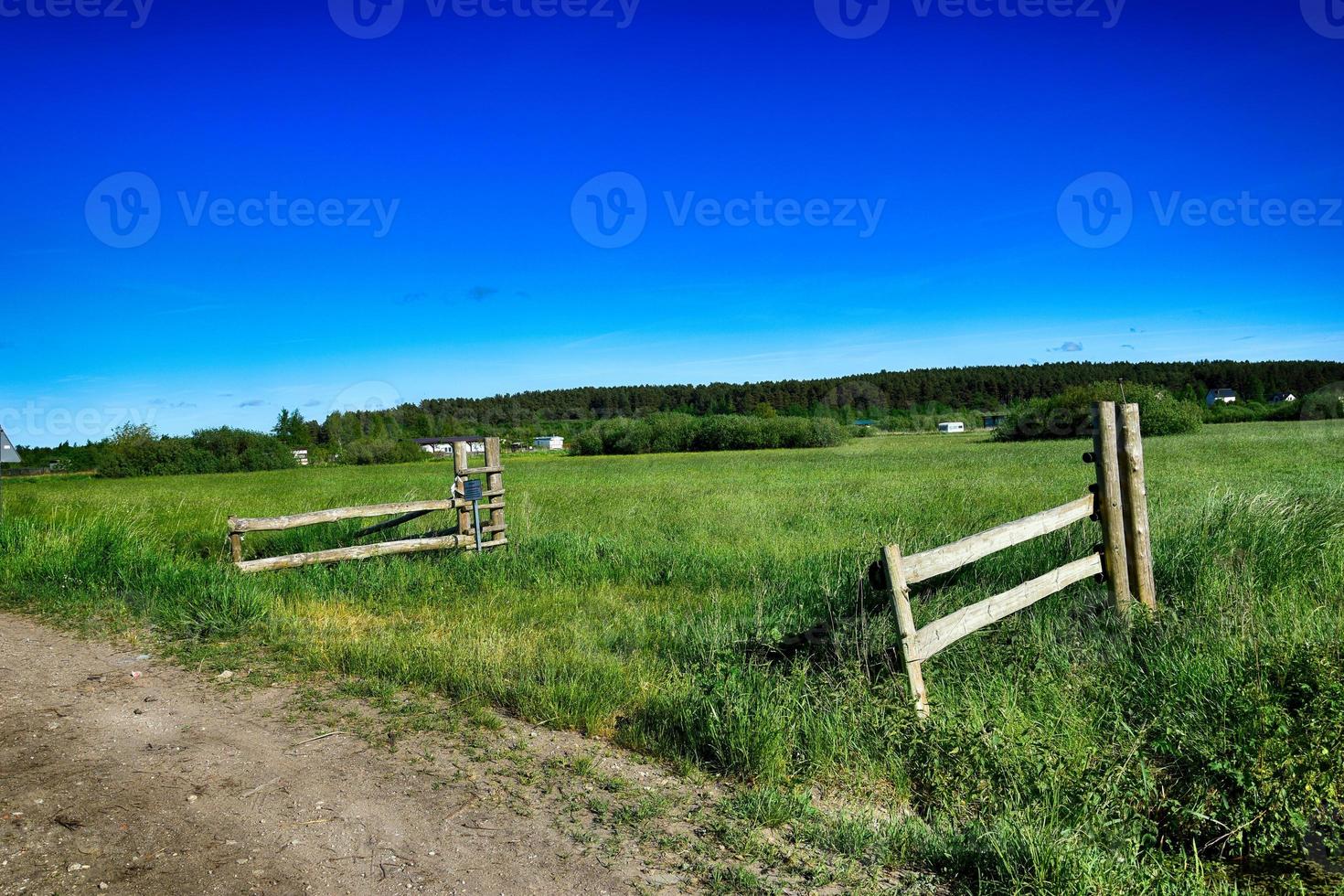 pittoresk vår landskap med blå himmel och grön fält foto