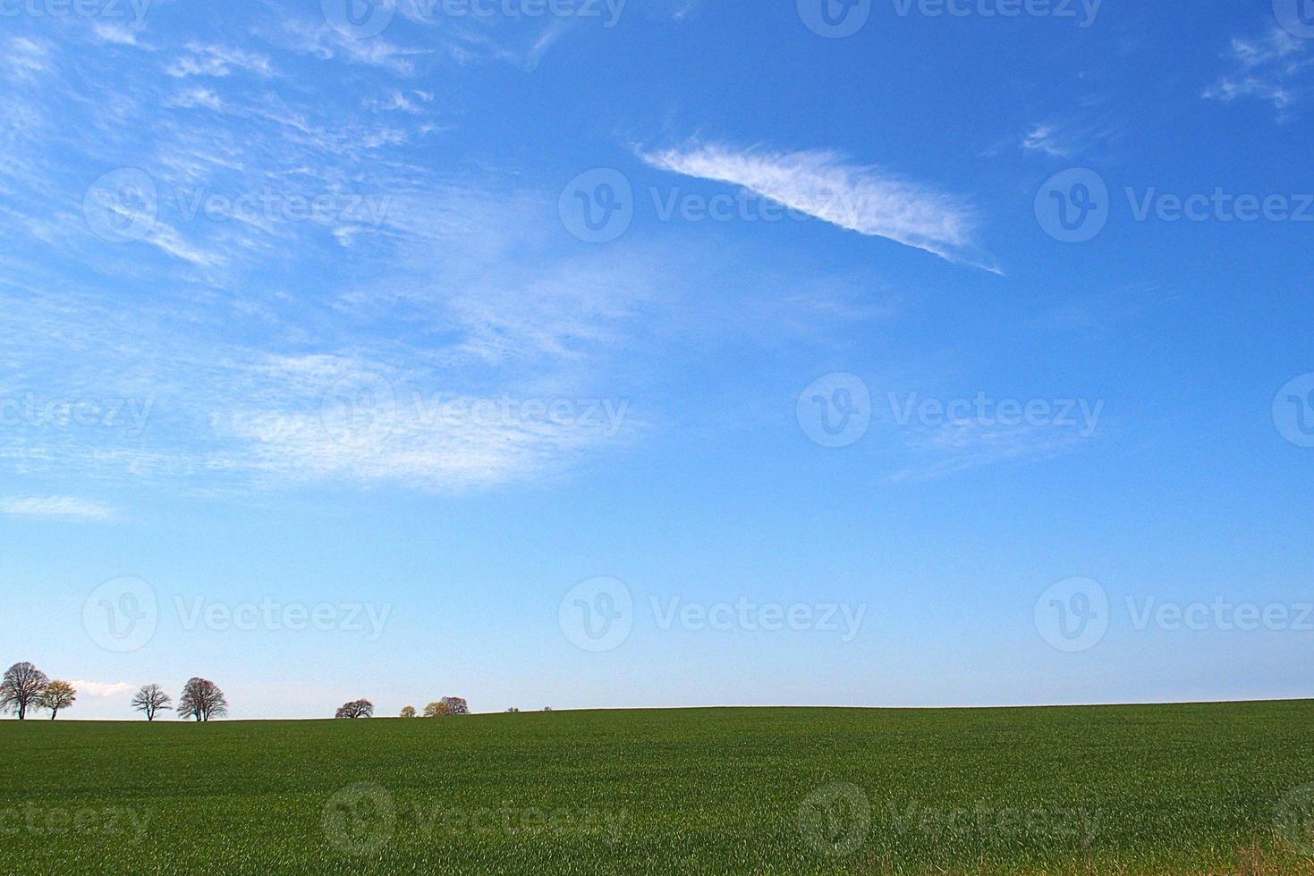 skön minimalistisk vår landskap enkel med grön ängar blå himmel med vit moln foto