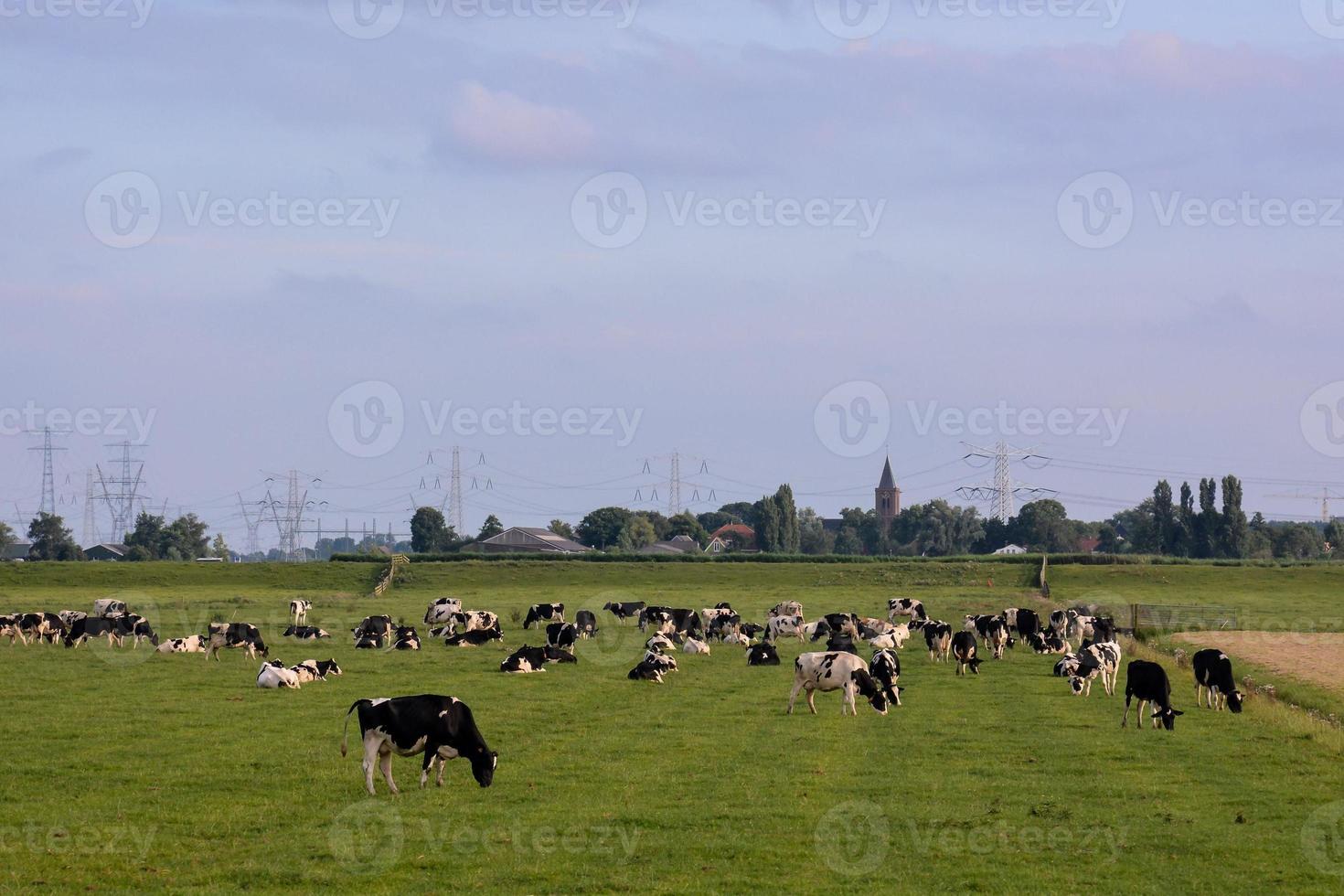 naturskön lantlig landskap foto