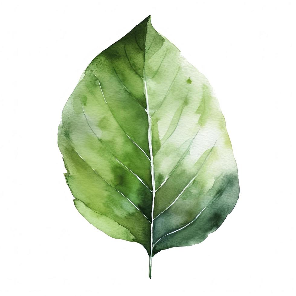 blad grön minimalism, vattenfärg på vit bakgrund, generera ai foto