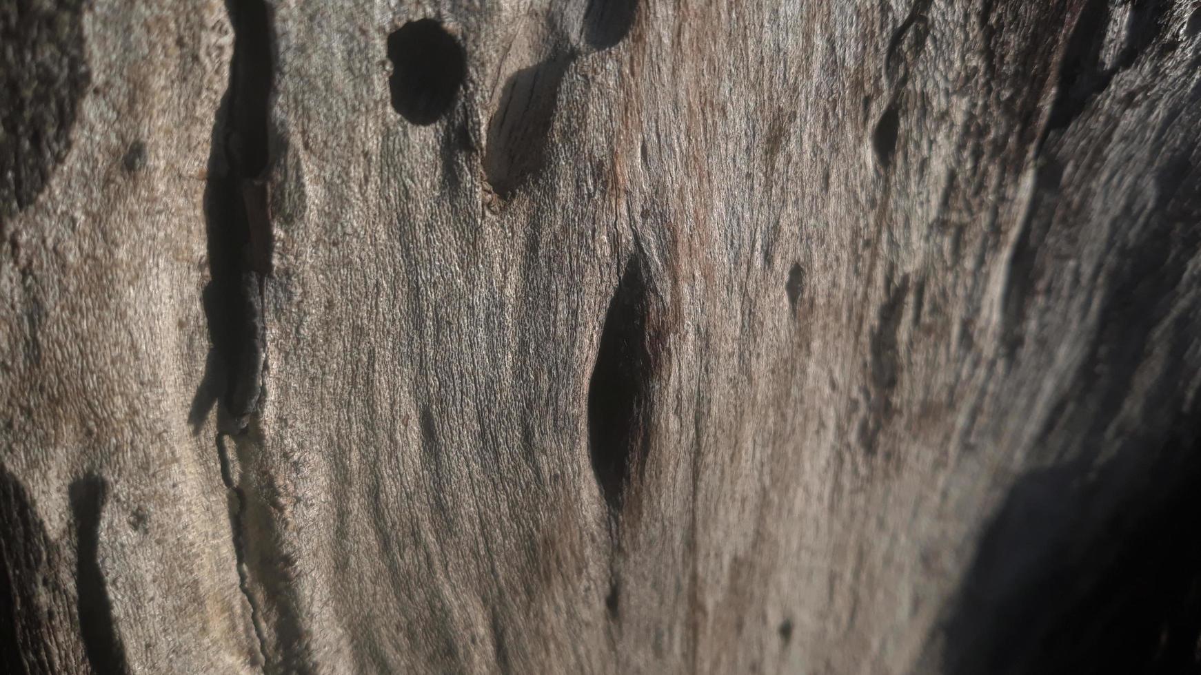 trä- textur. mörk trä- textur. rustik tredimensionell trä textur. rustik trä textur. trä bakgrund. trä- planka golv bakgrund foto