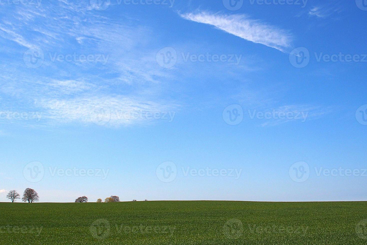 skön minimalistisk vår landskap enkel med grön ängar blå himmel med vit moln foto