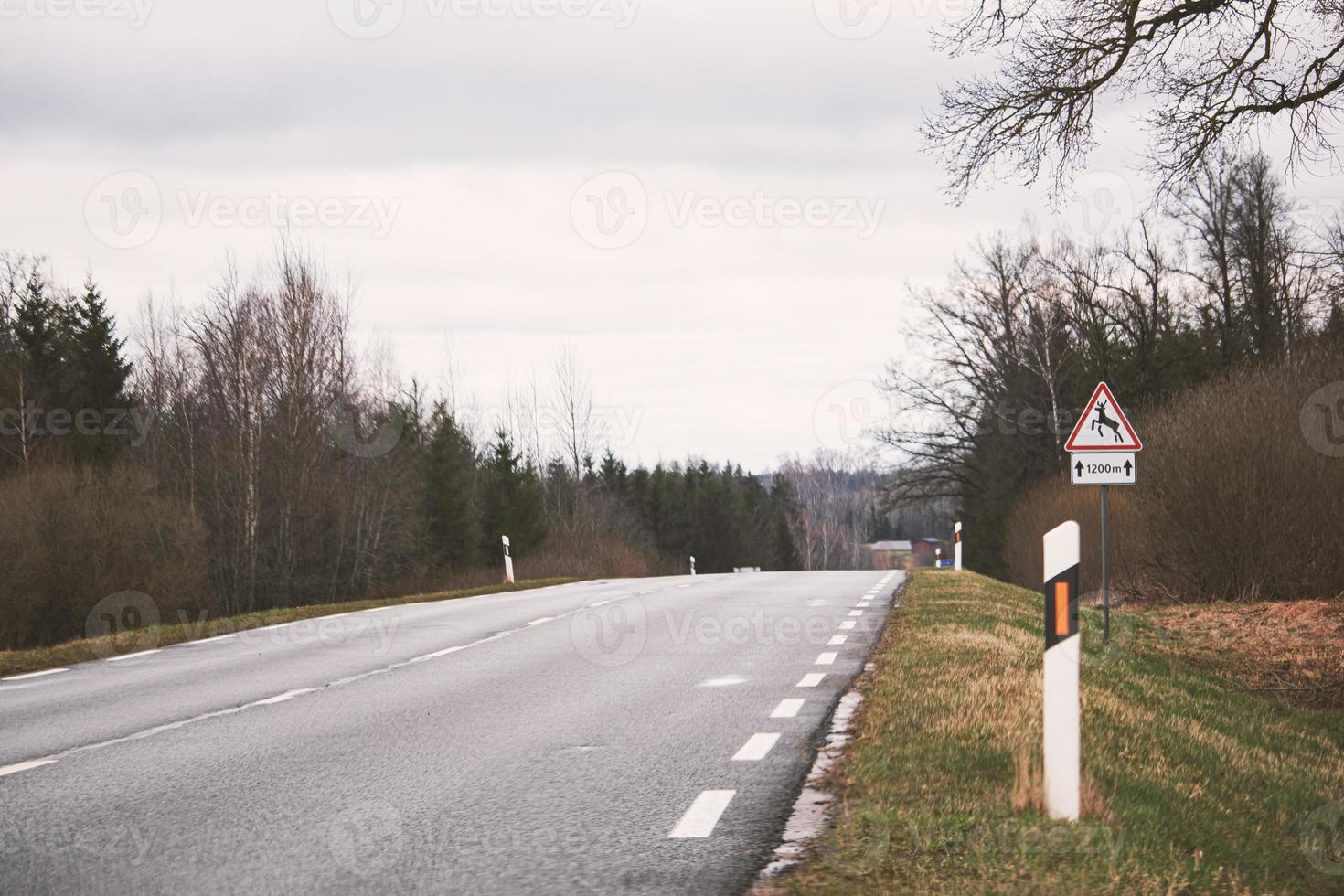 sida se av en asfalt väg med rader utan en trottoar och väg tecken på grön gräs foto