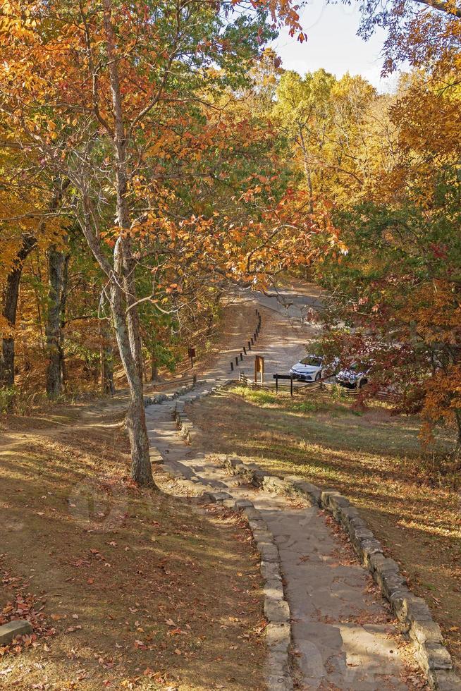 rustik väg i en skog parkera i de falla foto