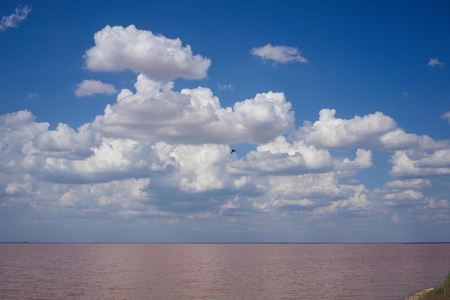 landskap av sjön sasyk-sivash med en molnig blå himmel foto