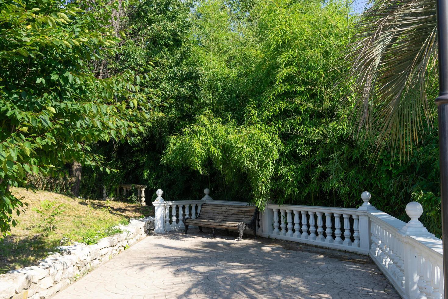 tegel trottoar, staket och träd i parken av södra kulturer i sochi, ryssland foto