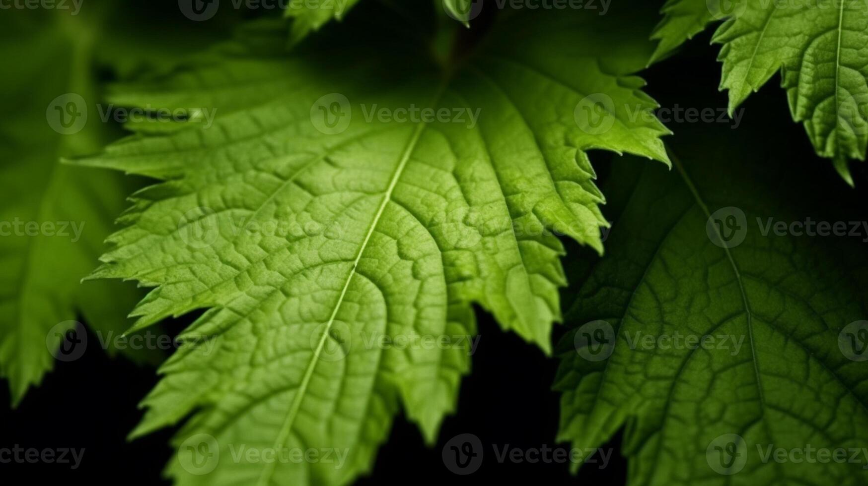 stänga upp av grön löv på en svart bakgrund. makro fotografi ai genererad foto
