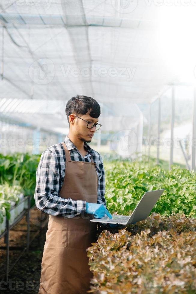 jordbrukare man använder sig av hand innehav bärbar dator och organisk grönsaker hydroponiska i växthus plantage. kvinna hydroponiska sallad vegetabiliska trädgård ägare arbetssätt. smart jordbruk foto