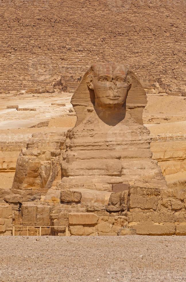 se på bra sfinx på giza, egypten foto