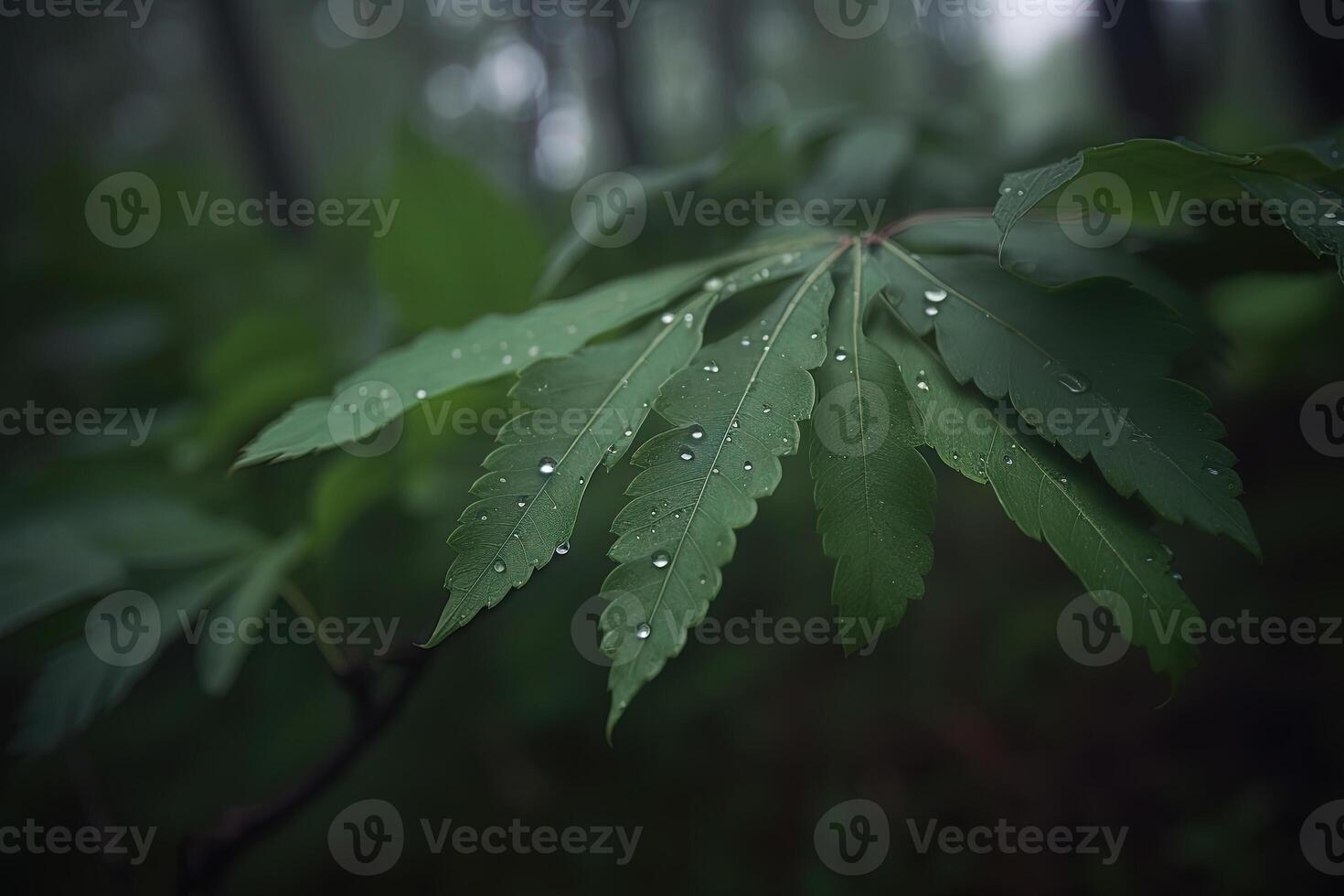 en närbild av våt texturerad löv i en daggig morgon- i de skog. ai genererad foto