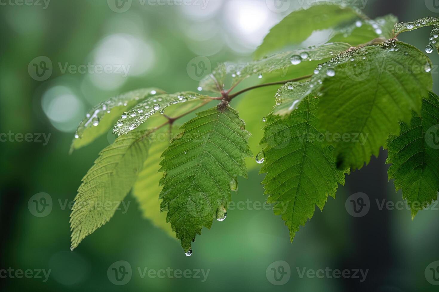 en närbild av våt texturerad löv i en daggig morgon- i de skog. ai genererad foto