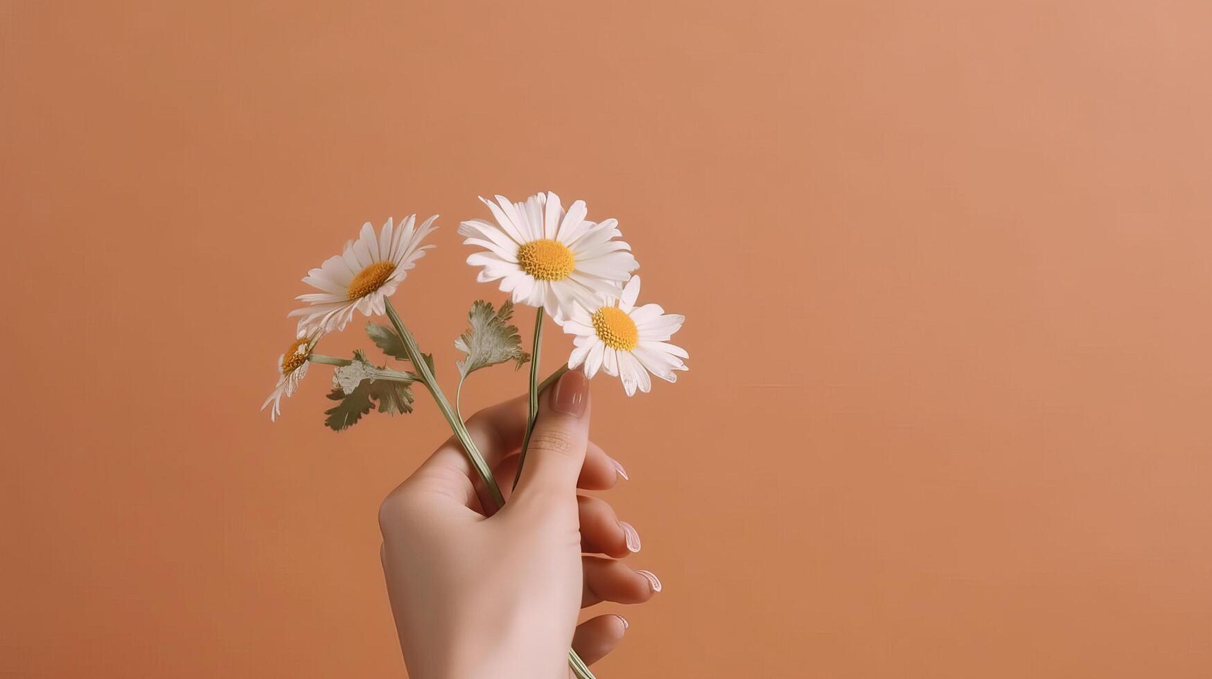 hand med kamomill blomma. illustration ai generativ foto