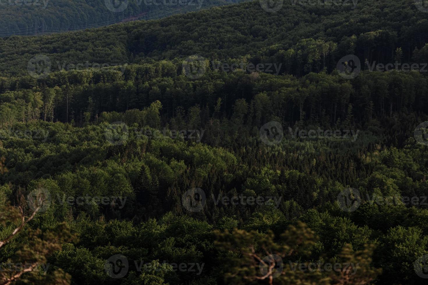 antenn se av skog. panorama av de berg skog foto
