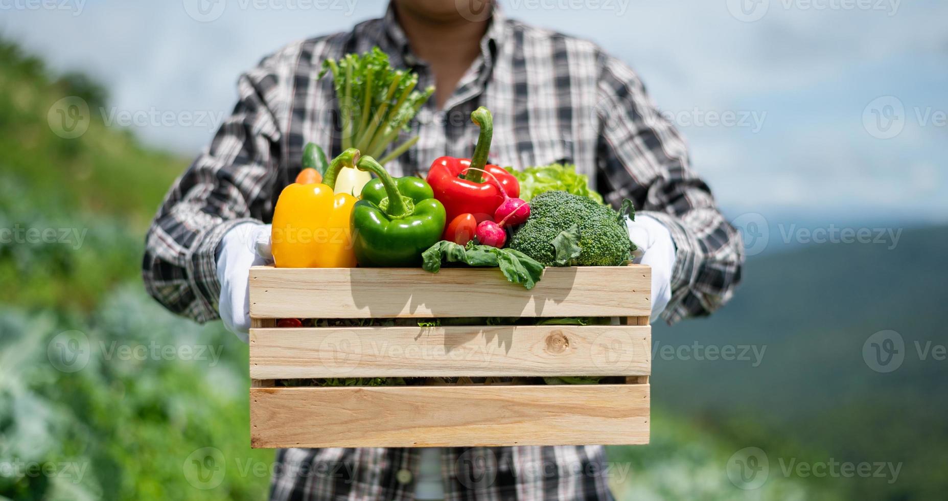 jordbrukare man skörd färsk vegetabiliska från odla. fritid tid samhörighet begrepp. foto