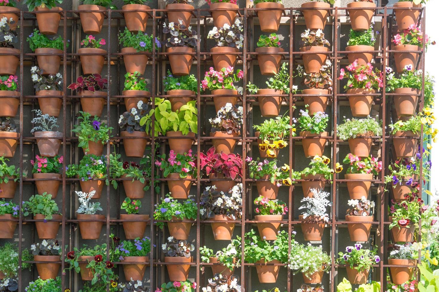vägg av olika växter i olika färger i krukor foto