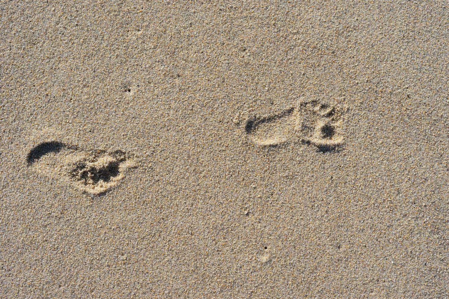 fotspår i sand foto