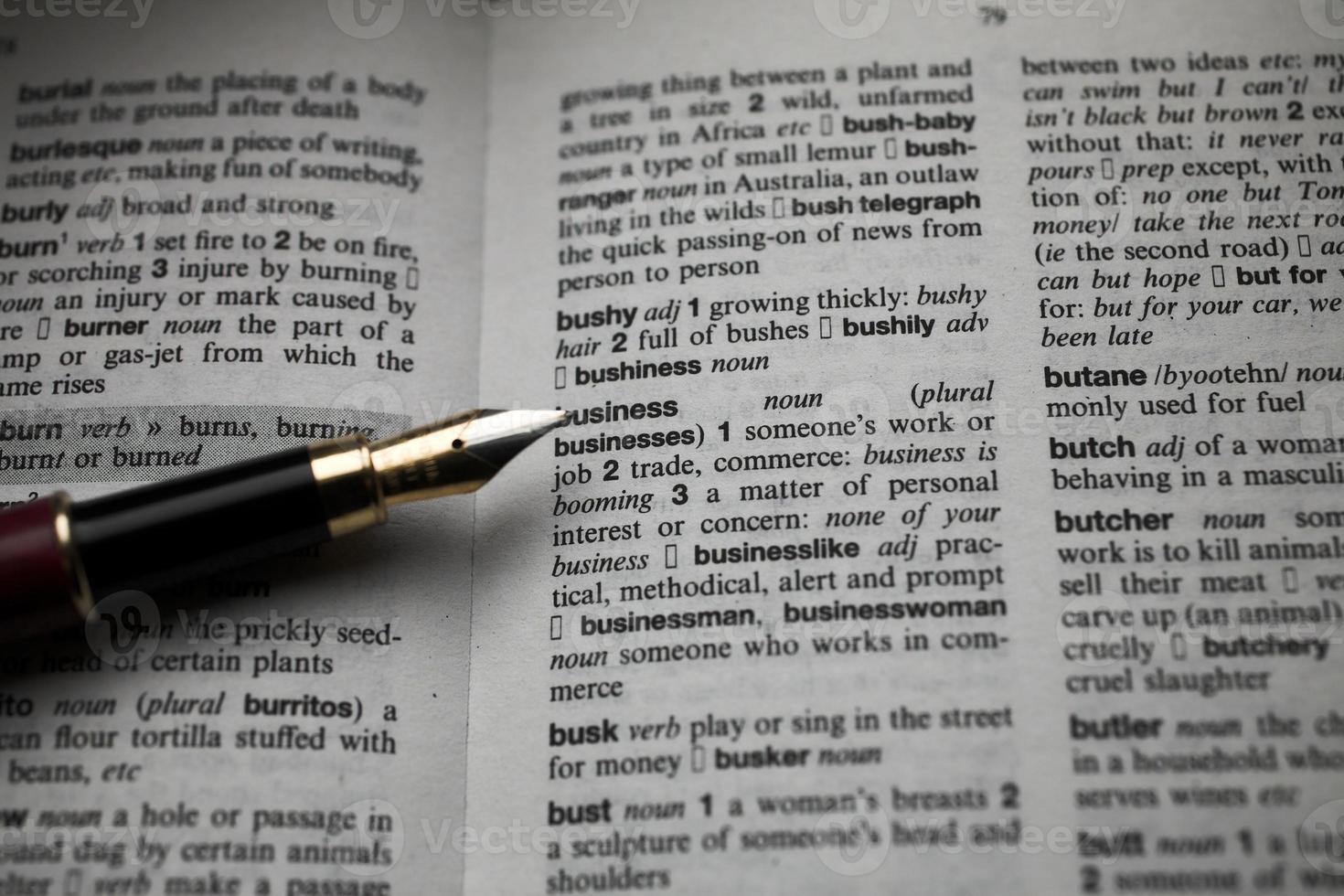 företag fontän penna på en ordbok foto