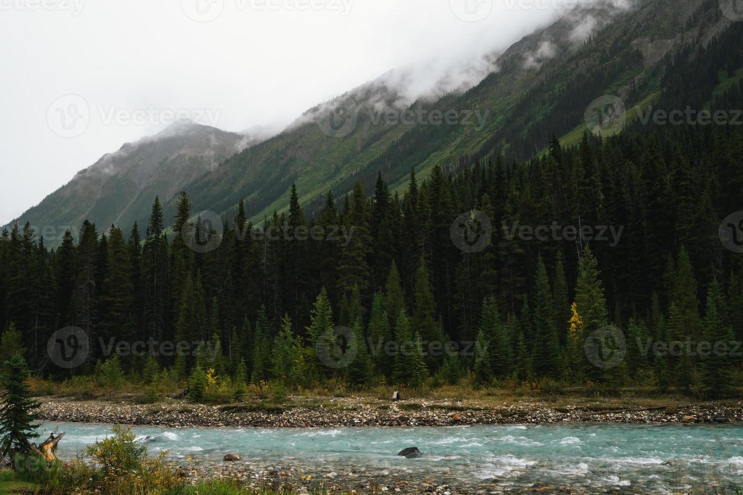 lynnig flod i banff nationell parkera, kanada med fantastisk turkos vatten foto