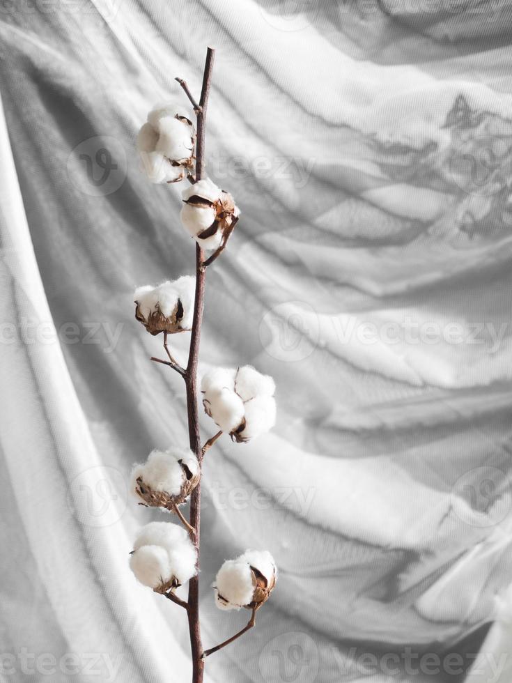 arrangemang med gren av bomullsblommor foto
