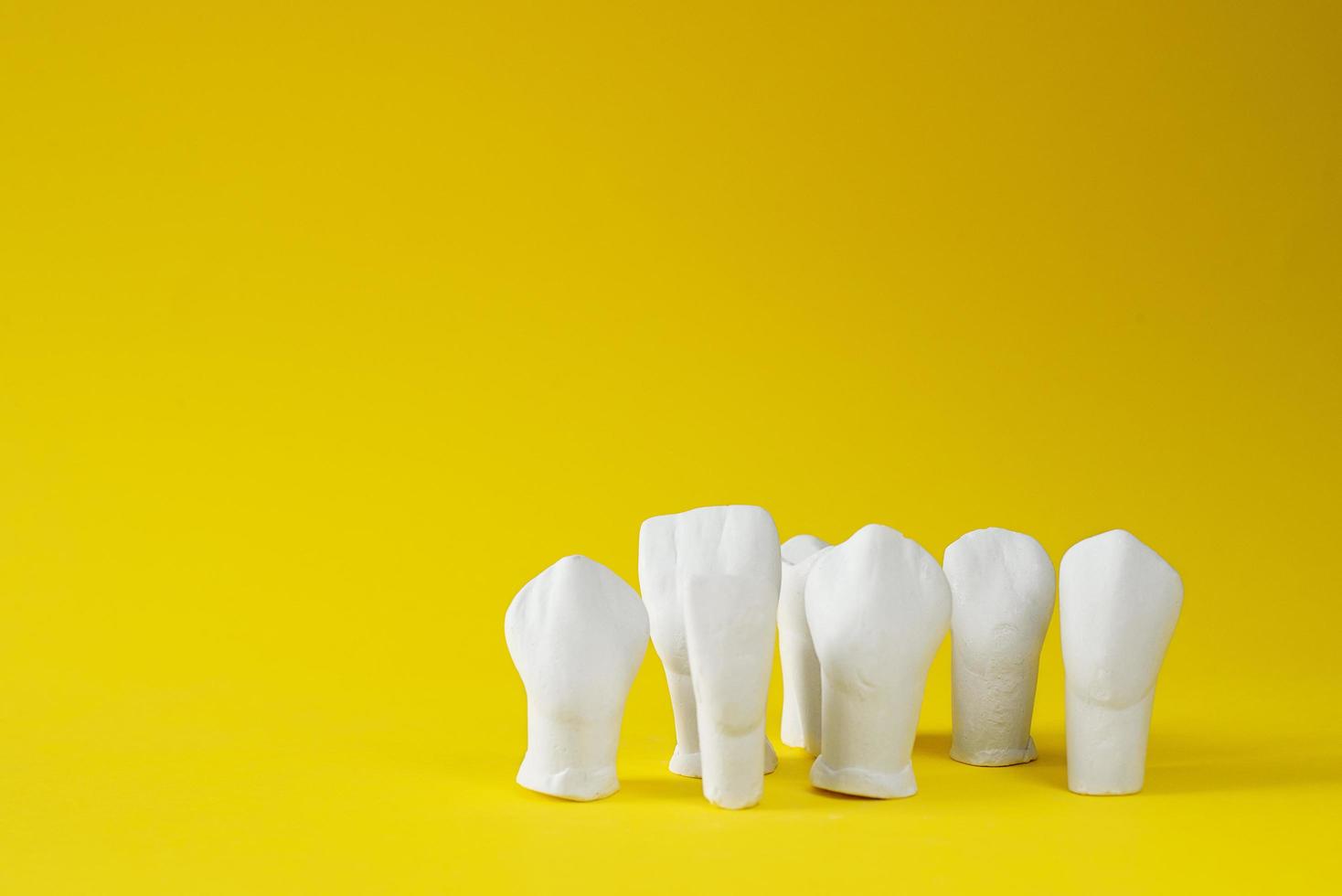 modeller av tänder tillverkad av plåster. hög kvalitet Foto. foto