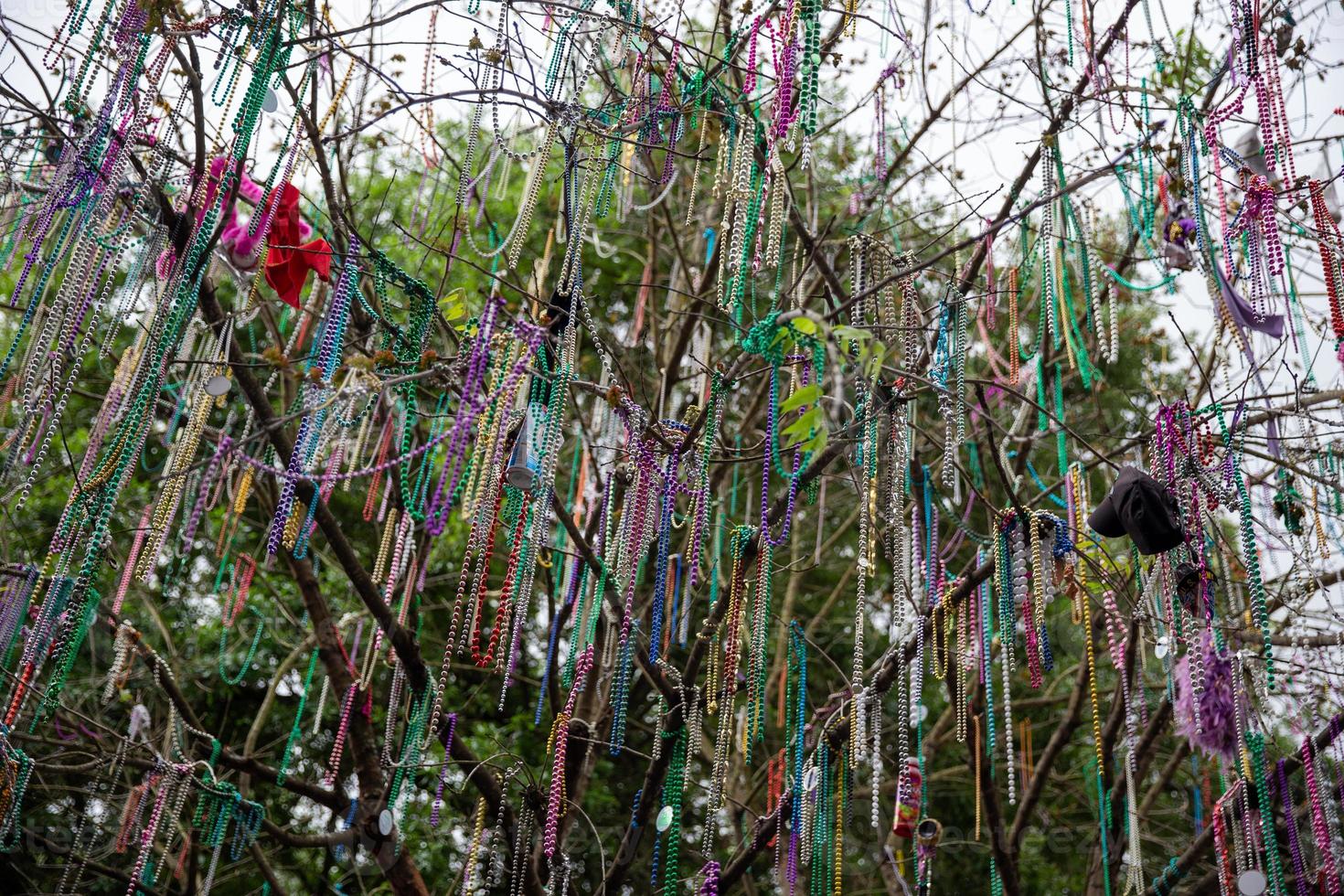 mardi gras pärlor foto