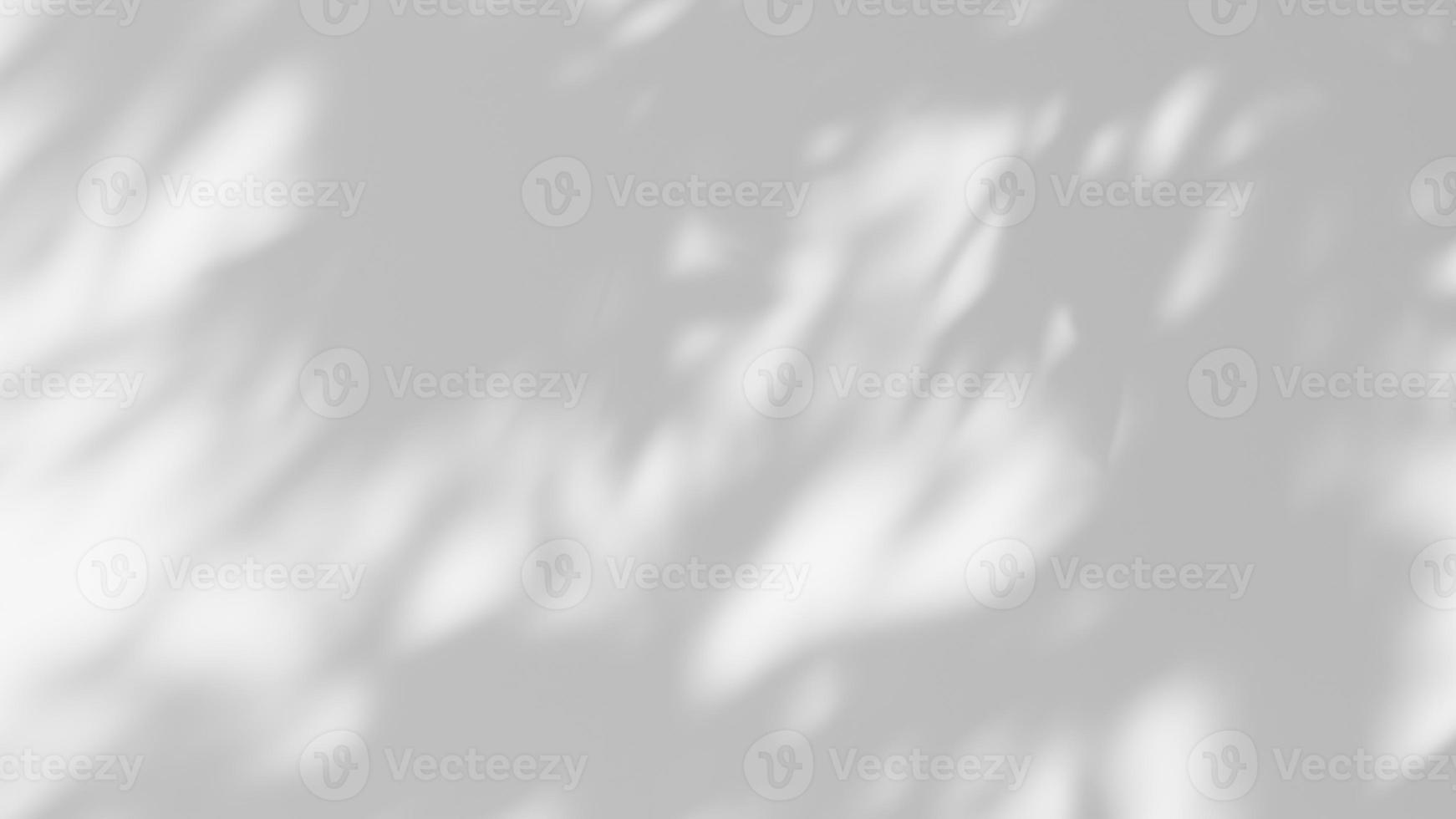 blad skugga täcka över effekt. vit bakgrund med tropisk löv skuggor foto