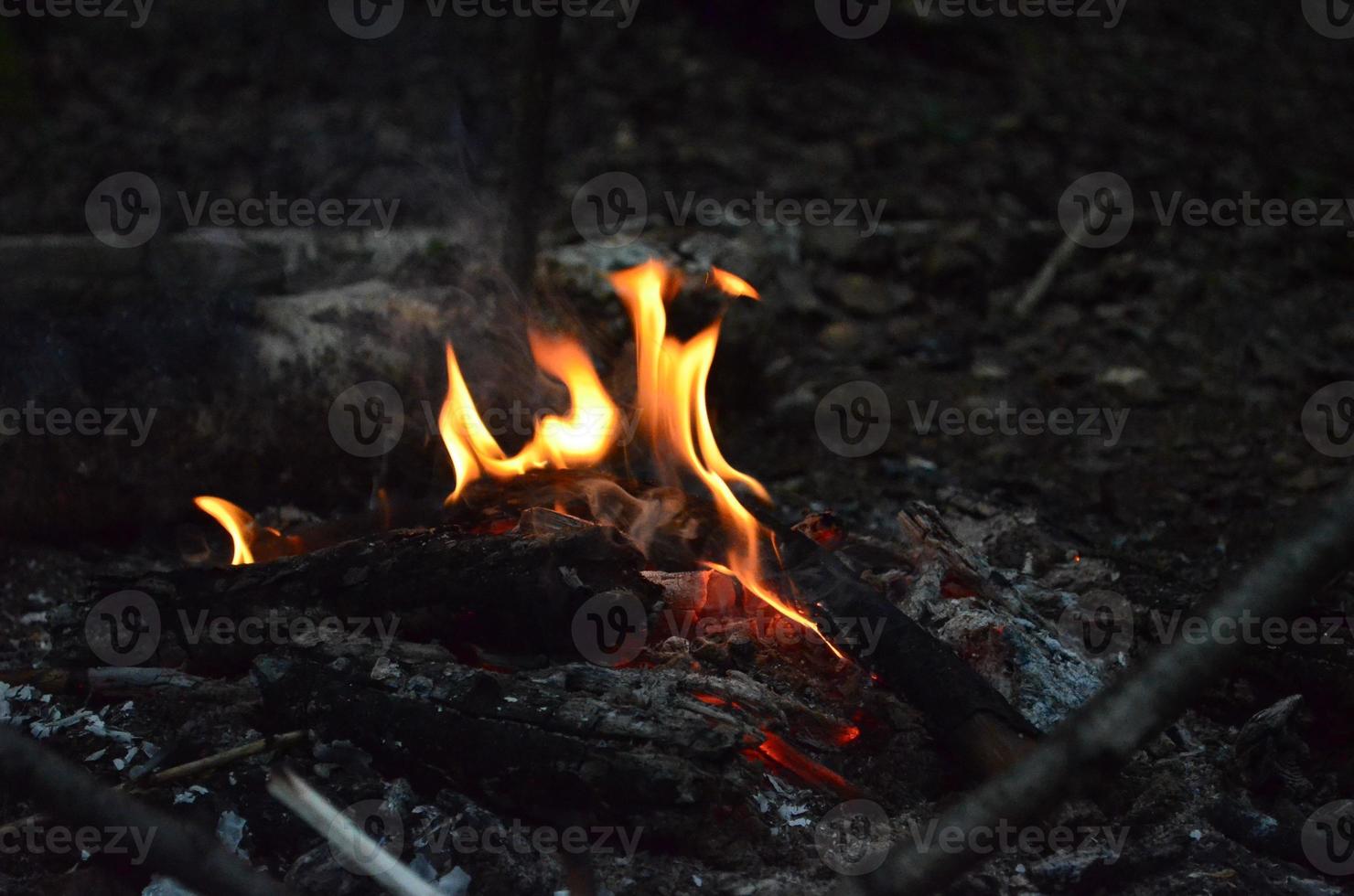 brinnande trä loggar i de natt. suddig ljus. ljus röd brand. natur bild. foto