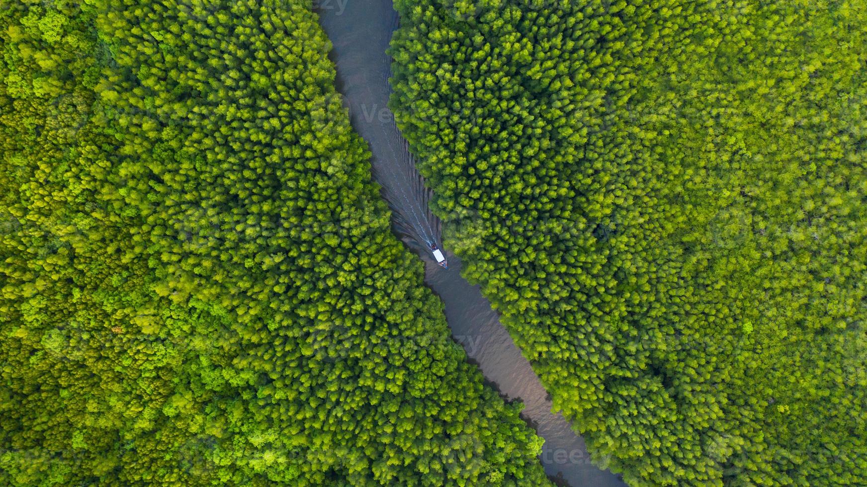 Flygfoto ovanifrån av båten vid floden i mangroveskog bevarande i Thailand foto