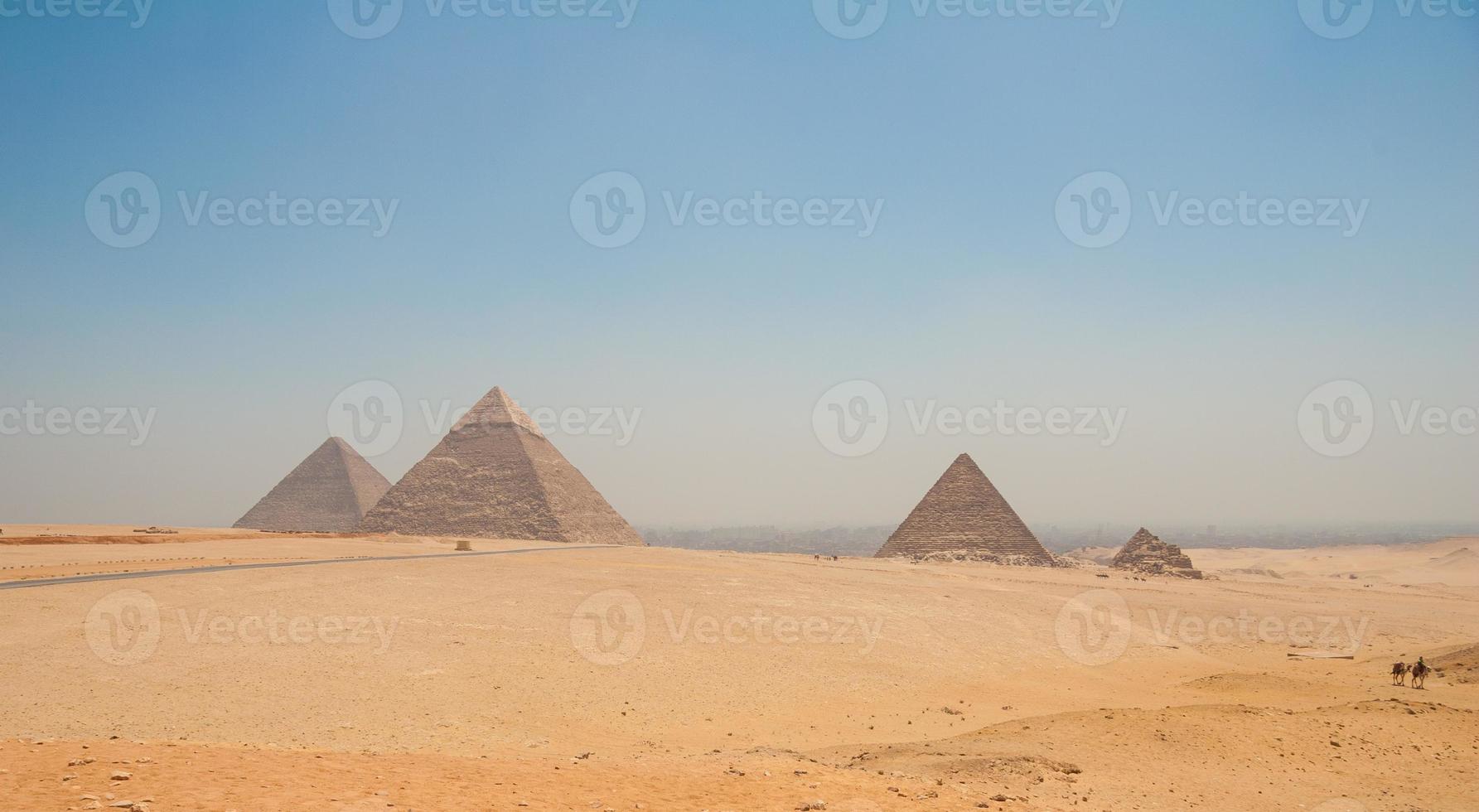 pyramiderna i giza, kairo, egypten och kameler i förgrunden foto