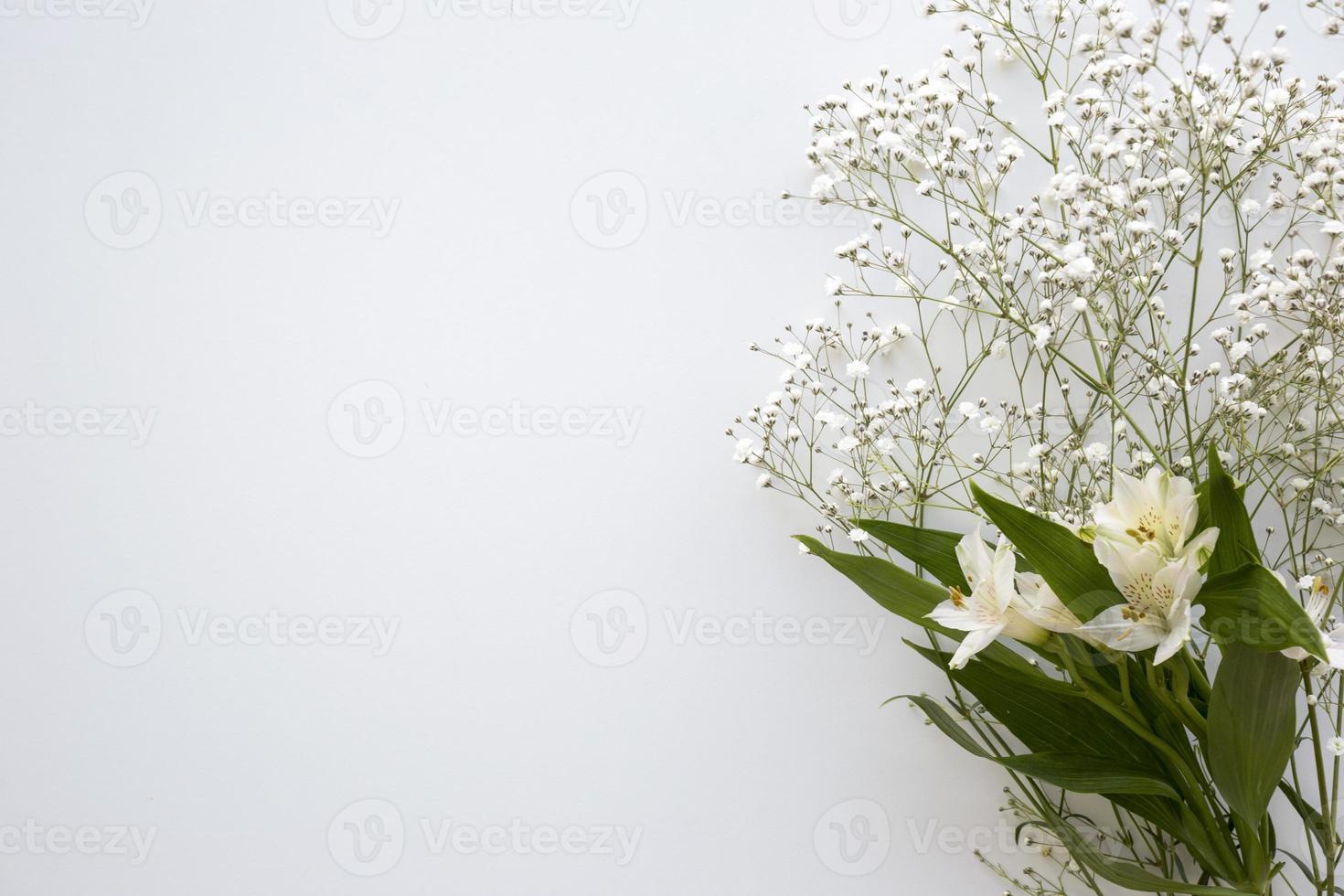 ovanifrån barnets andetag och vita liljor på vit bakgrund foto