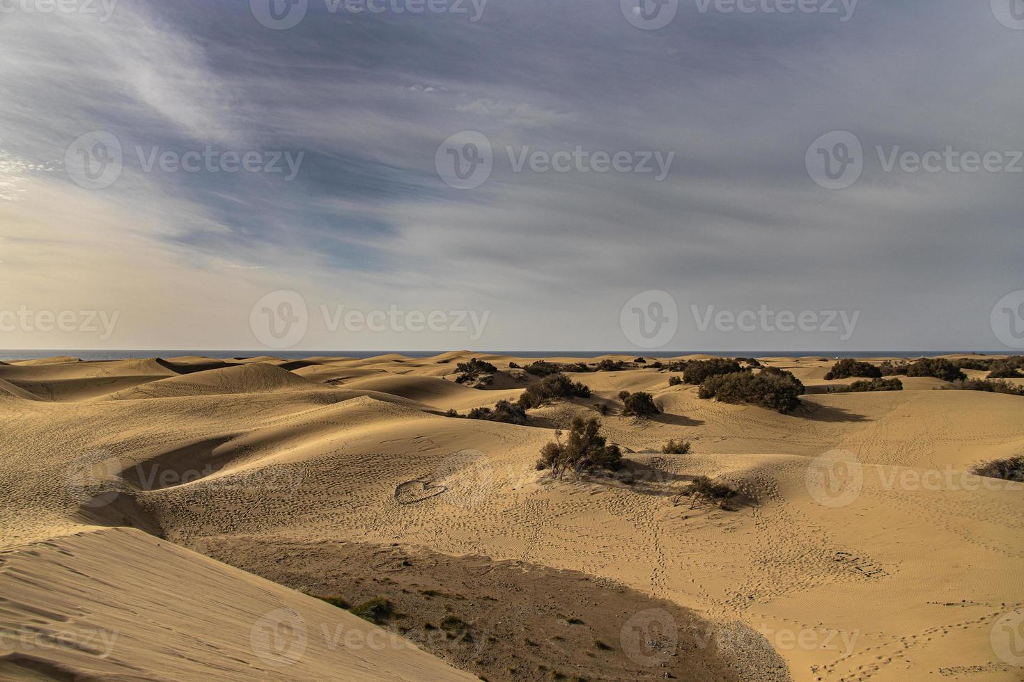 sommar öken- landskap på en värma solig dag från maspalomas sanddyner på de spanska ö av gran canaria foto