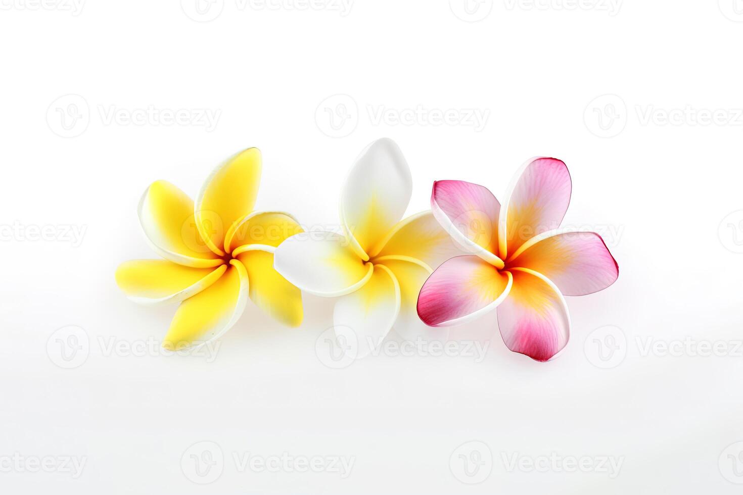 tropisk skön blommor, frangipani plumeria blomma isolerat på vit bakgrund. ai genererad foto
