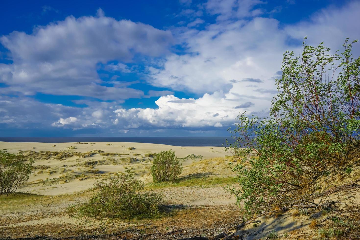 havslandskap i Östersjön med kustnära sanddyner i det kuriska spottet. foto