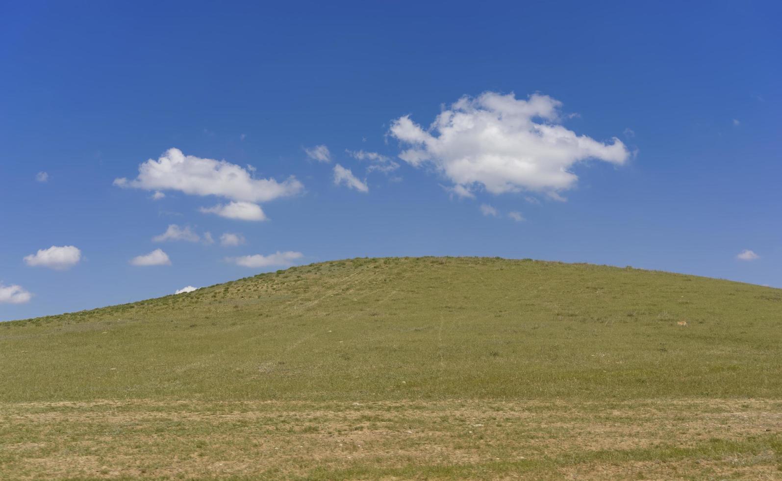 grön kulle täckt med gräs mot en blå himmel med moln. foto