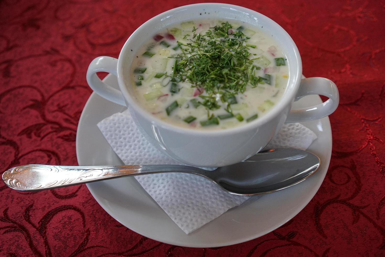 nationell rysk mat kall soppa okroshka i en vit skål foto